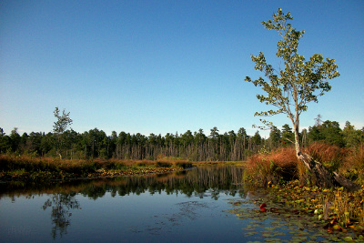 PRovided By Pinelands Preservation Alliance