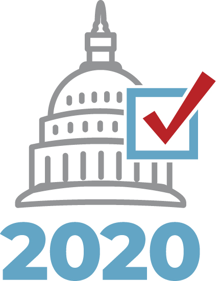 2020 elections graphic