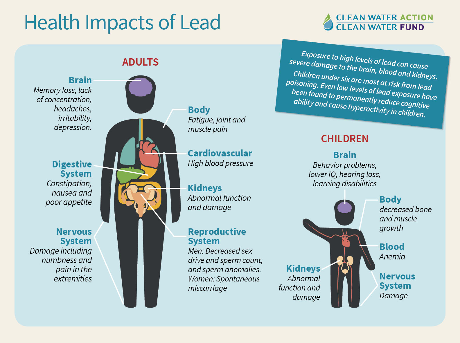 Health Impacts of Lead
