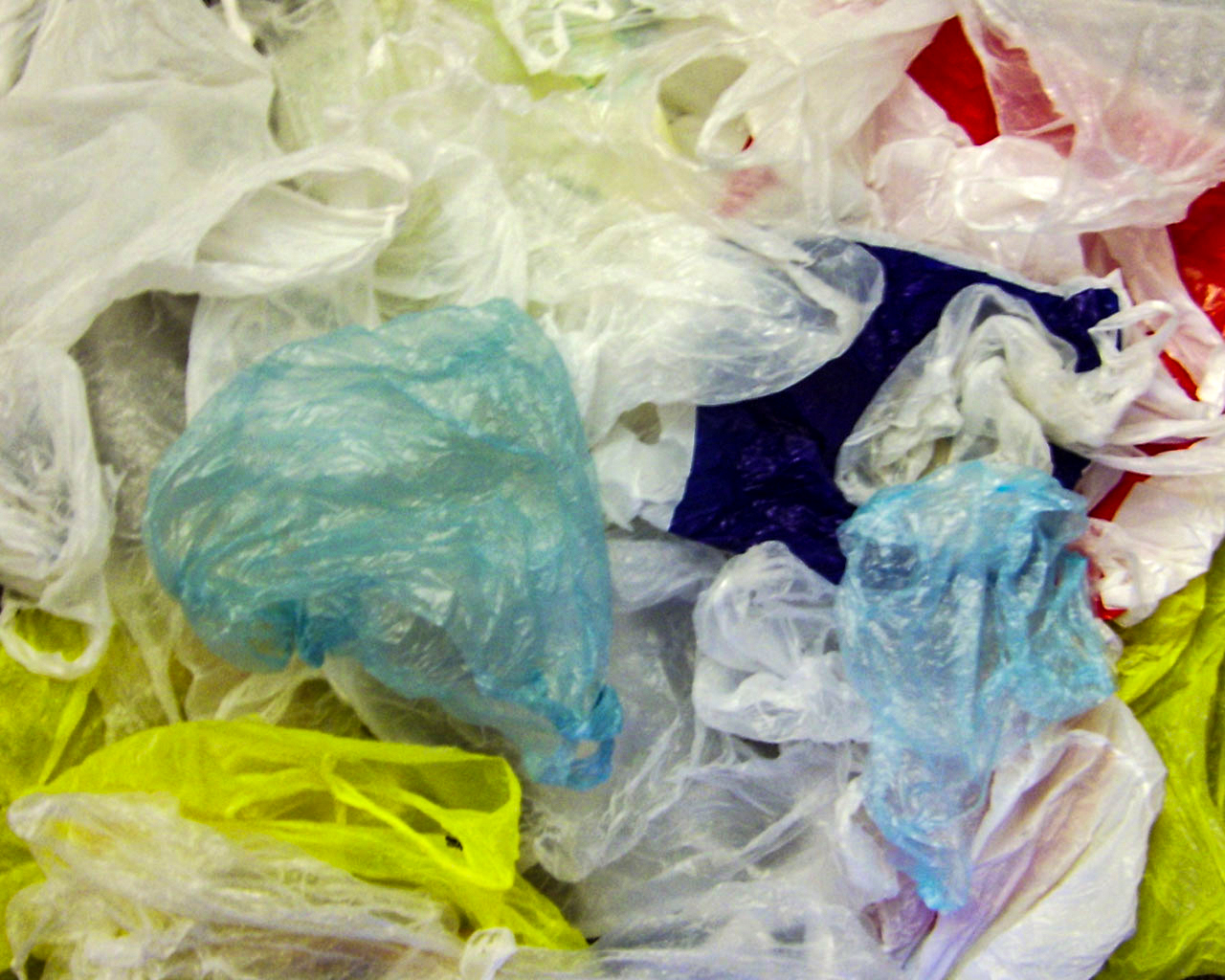 Plastic bag waste -- credit wikicommons