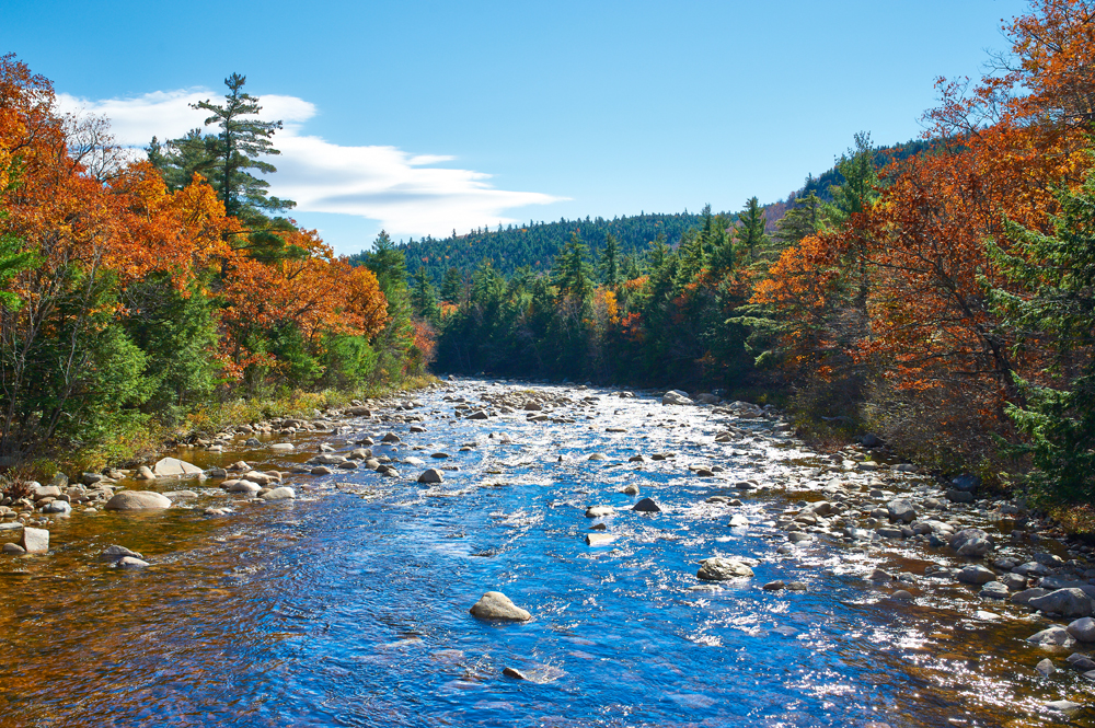 Swift River, White Mountain National Forest. Credit: haveseen / Shutterstock