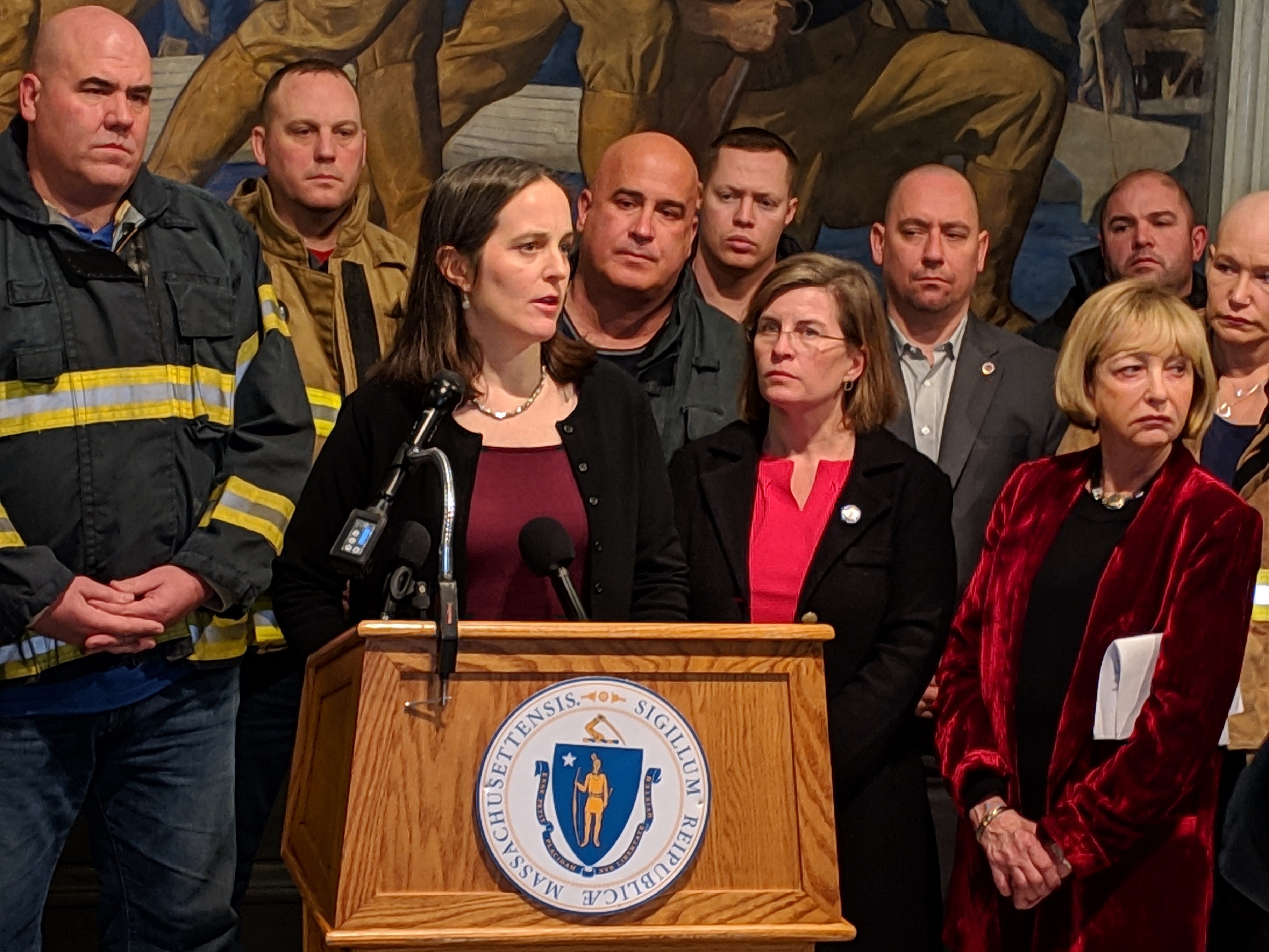 MA_Elizabeth Saunders_Firefighter and Childrens protection act press conf Jan 2019