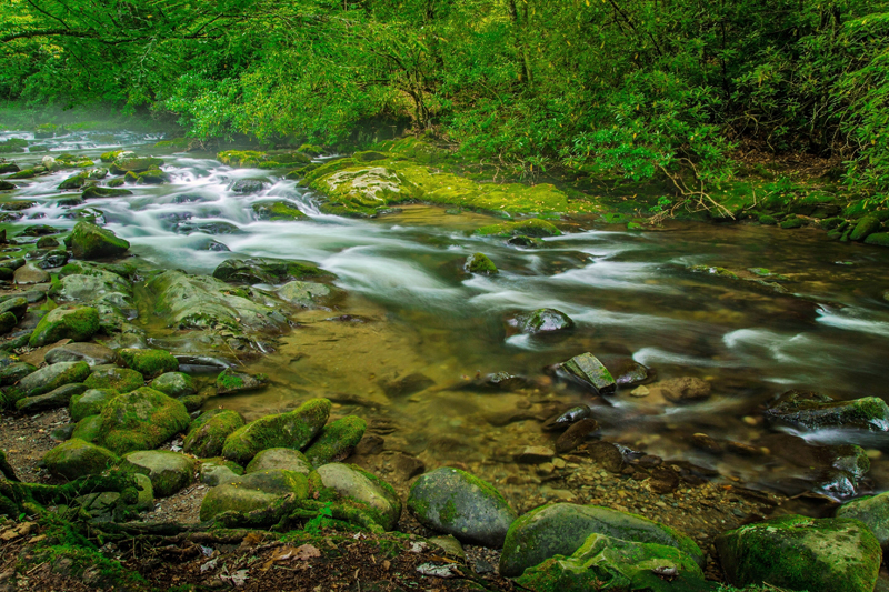 Smoky Mountain stream. Photo credit: ehrlif / Shutterstock