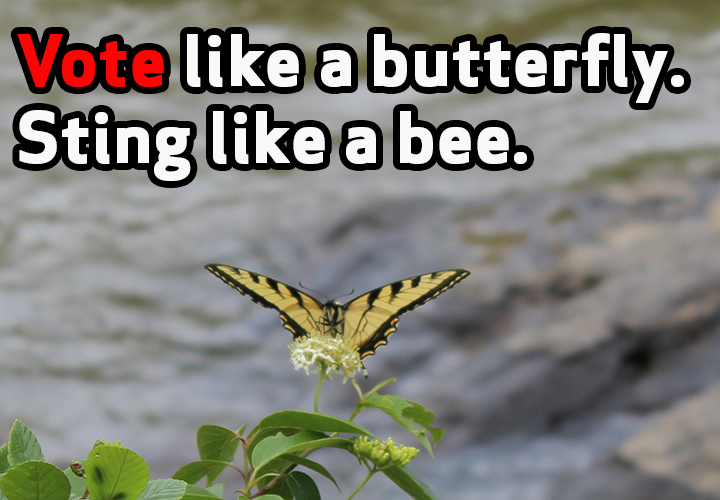 Vote like a butterfly, sting like a bee. Vote like a butterfly, sting like a bee.