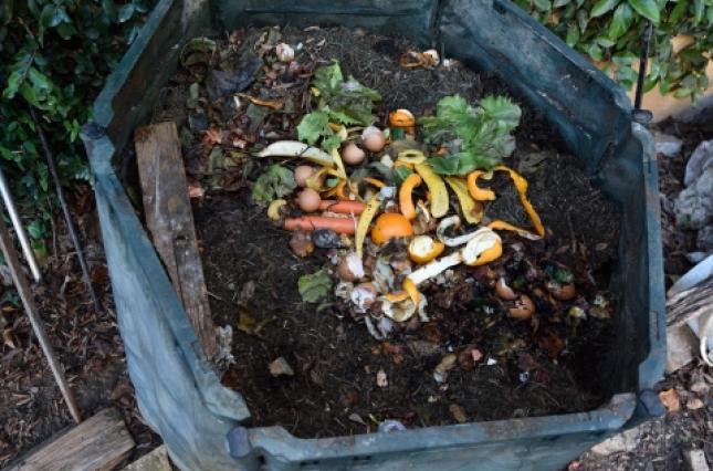 composting-container-istock-curtoicurto.jpg
