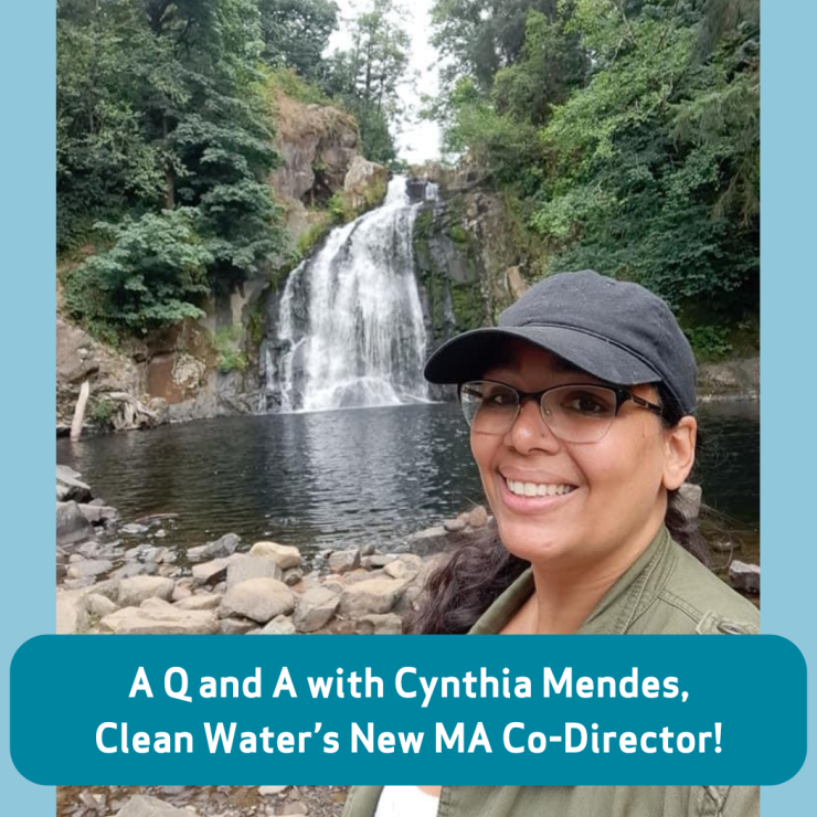 Image of MA state co-director for Clean Water Action, Cynthia Mendes in front of a pretty waterfall