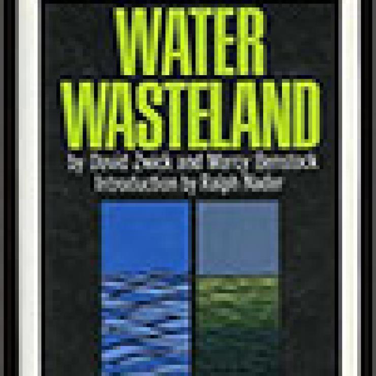 Water Wasteland